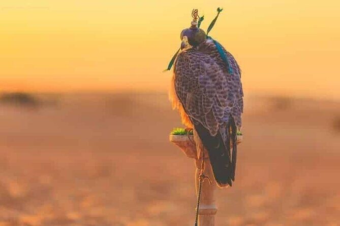 Dubai Hot Air Balloon Sunrise Sightseeing Ride - What You Can Expect from the Dubai Hot Air Balloon Tour