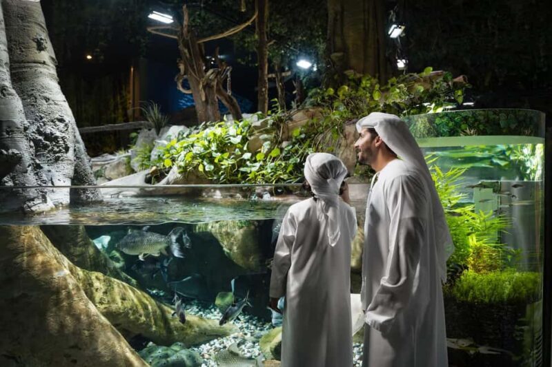 Dubai Iconic Burj Khalifa + Aquarium + Sky Views Ticket - Honest Insights from Reviews