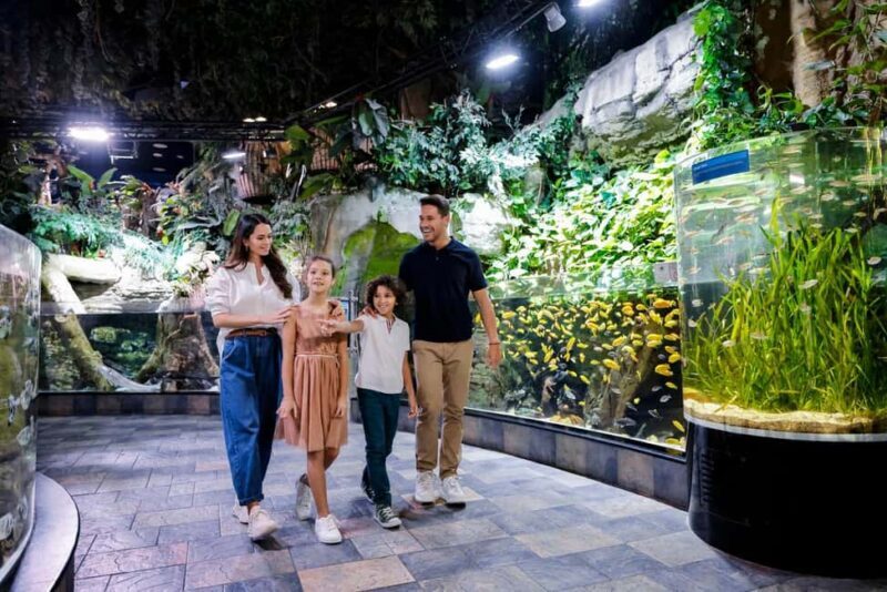 Dubai Iconic Burj Khalifa + Aquarium + Sky Views Ticket - Who Will Enjoy This Tour?