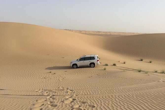 Dubai Kids Friendly Morning Safari - Private Car - The Guide: Saf and the Personal Touch