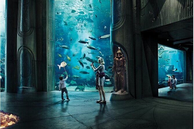 Dubai Lost Chambers Aquarium Admission E-Ticket - Key Points