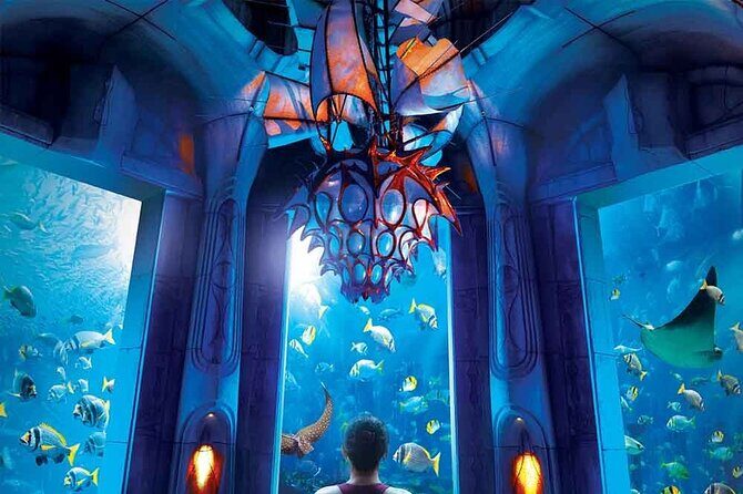 Dubai Lost Chambers Aquarium Admission E-Ticket - Authentic Experiences and Insights from Reviewers