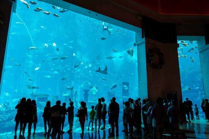Dubai Lost Chambers Aquarium Admission E-Ticket - The Sum Up