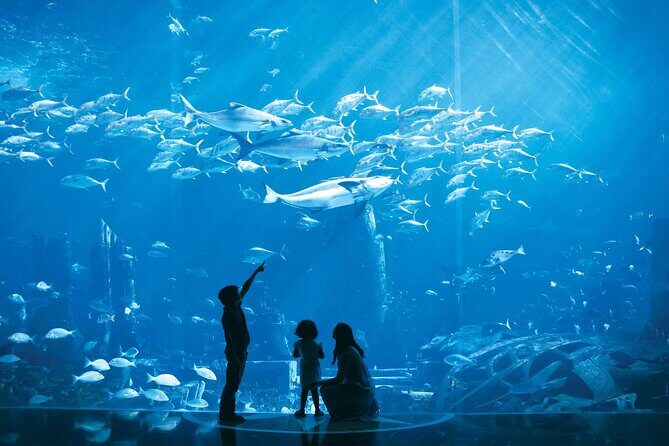 Dubai Lost Chambers Aquarium Admission E-Ticket - FAQs