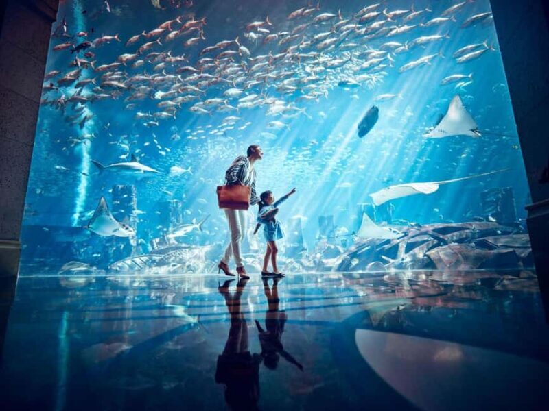 Dubai: Lost Chambers Aquarium Entry Ticket - Exploring the Experience in Detail