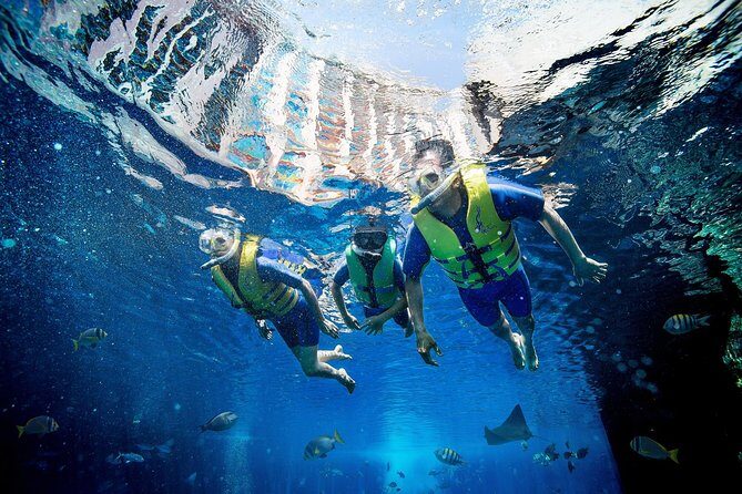 Dubai Lost Chambers Ultimate Snorkel Experience - What Makes This Tour Stand Out?