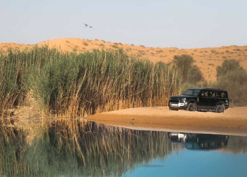 Dubai: Luxury Safari with Michelin-Curated 5-Course Dinner - Key Points