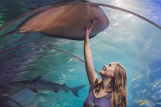 Dubai Mall Aquarium & Underwater Zoo with Penguin Cove Tickets - Authentic Experiences from Visitors