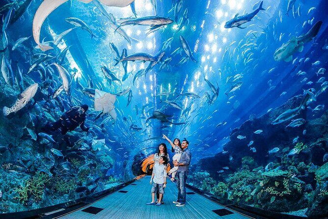 Dubai Mall Aquarium with Penguin Cove + Skyview Ticket - Highlights From Real Reviewers