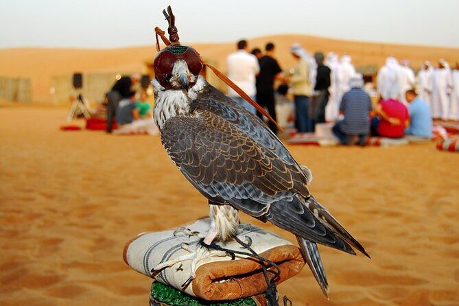 Dubai Mega Safari Quad Biking and Dune Bashing and Camel Riding with BBQ Dinner - Who Is This Tour Best Suited For?