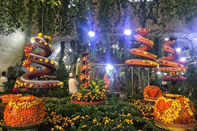 Dubai Miracle & Butterfly Garden Tour with private round trip transfers - What Sets This Tour Apart?