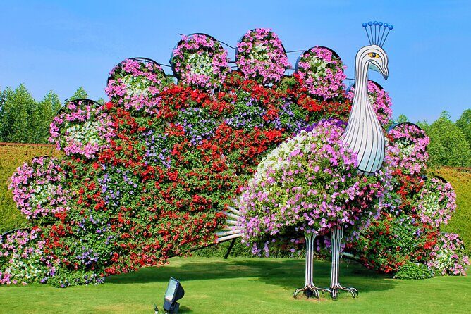 Dubai Miracle Garden Ticket with Transfer - Price and Value Analysis