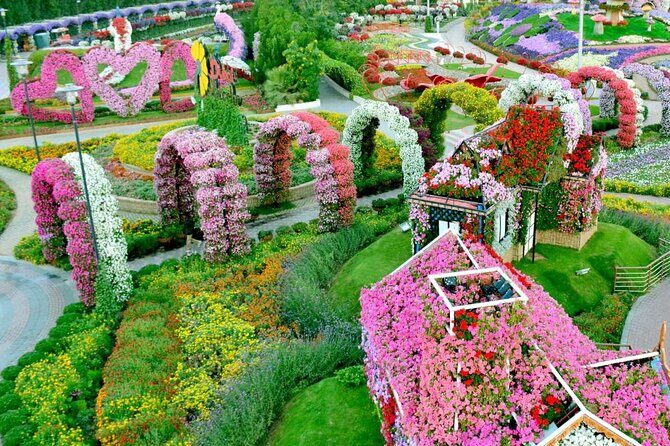 Dubai Miracle Garden Ticket with Transfer - Who Is This Tour Best For?