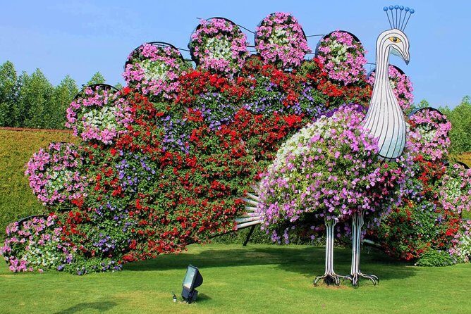 Dubai Miracle Garden with private round trip transfers - Key Points