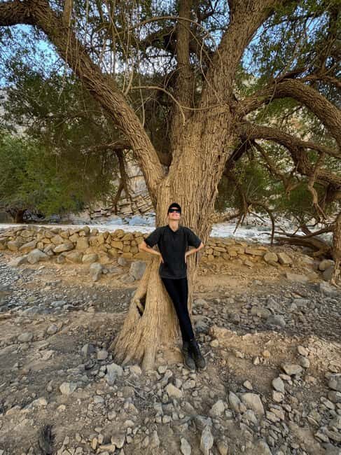 Dubai: Moderate hiking trip to Jebel Jais Hidden Oasis trail - Key Points
