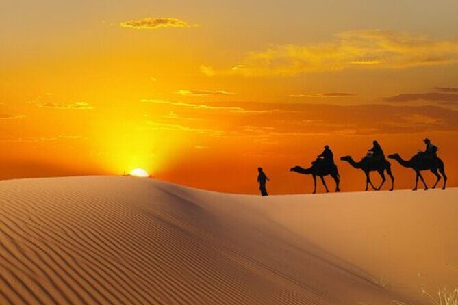 Dubai Morning Desert Safari - Practical Details & Tips
