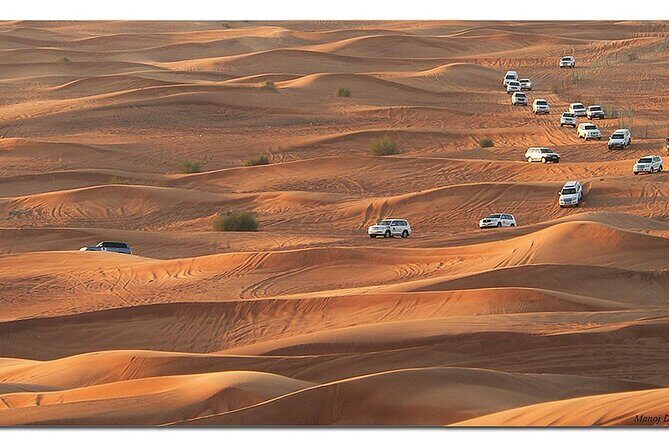 Dubai Morning Desert Safari: Camel Ride & Sandboarding! - Real Guest Insights & Tips