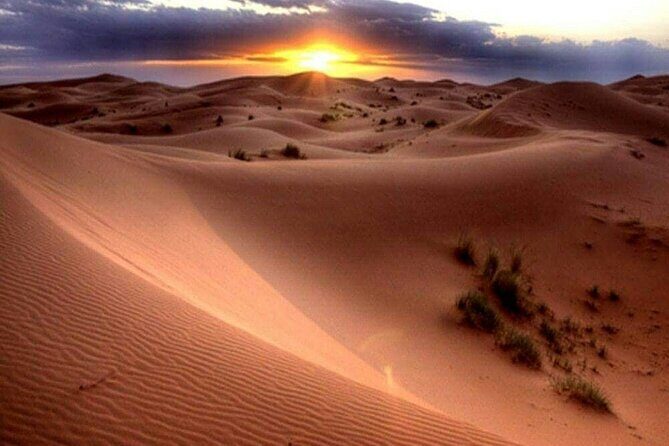 Dubai Morning Desert Safari: Camel Ride & Sandboarding! - The Sum Up