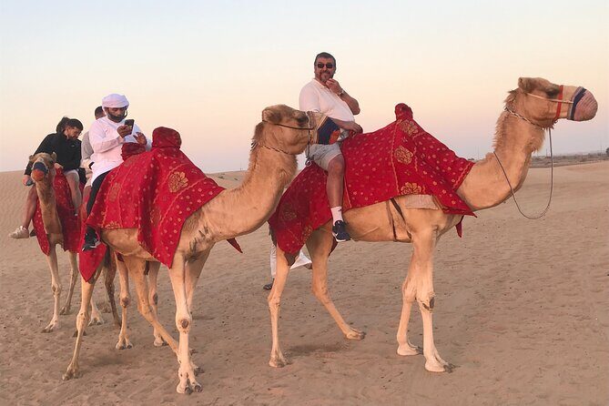 Dubai Morning Desert Safari Red Dune Camel Falcon & Sandboarding - Who Would Love This Tour?  