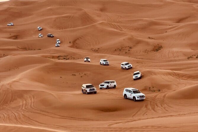 Dubai Morning Desert Safari Red Dune Camel Falcon & Sandboarding - Final Thoughts  