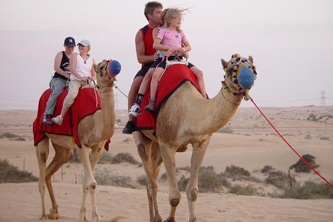 Dubai: Morning Desert Safari with Camel Ride and Sand boarding - Key Points