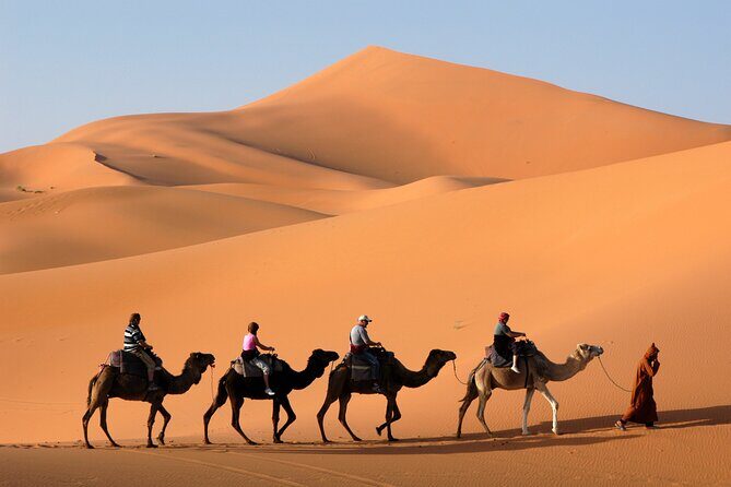 Dubai Morning Desert Safari with Quad Bike sharing Car - Key Points