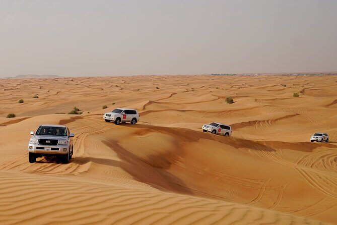 Dubai Morning Desert Safari with Quad Biking & More Activities - Final Thoughts