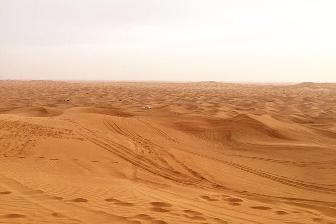 Dubai Morning Desert Small-Group Tour with Dune Bash - Key Points