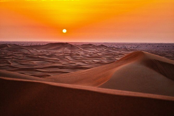 Dubai Morning & evening Desert Safari Tours - Overview of the Tour Experience