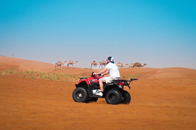 Dubai Morning Evening Desert Safari,Sand boarding and Camel ride - An In-Depth Look at the Dubai Morning Desert Safari