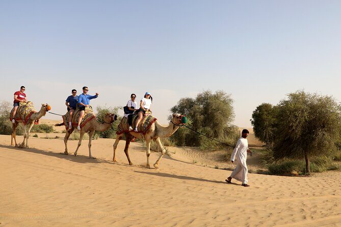 Dubai: Morning Heritage Safari by Vintage G Class & Al Marmoom Oasis - A Closer Look at the Dubai Heritage Safari