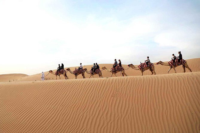 Dubai Morning Red Dunes with Camel Safari & Sandsurf - A Detailed Breakdown of the Experience