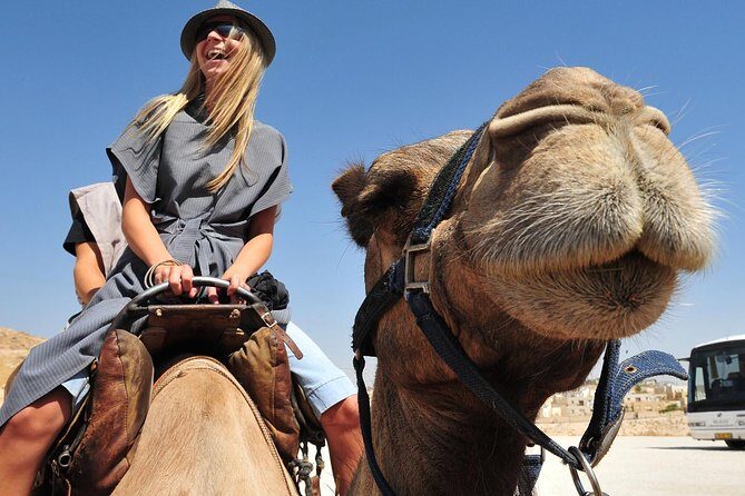 Dubai Morning Red Dunes with Camel Safari & Sandsurf - The Sum Up