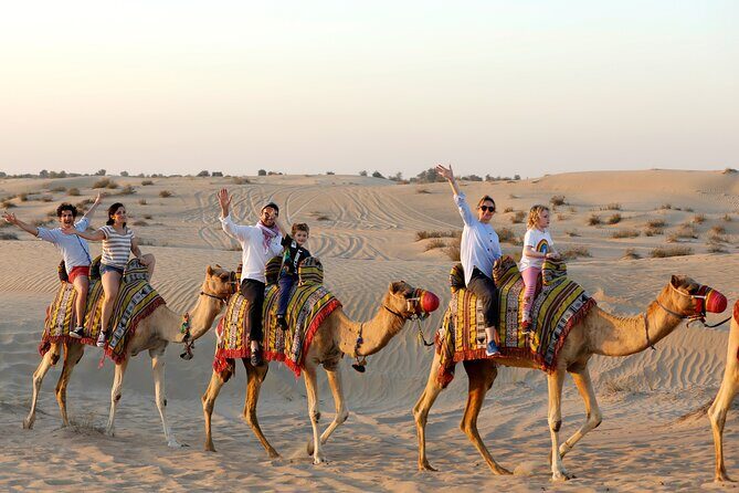 Dubai: Morning Safari by Vintage G Class & Al Marmoom Experience - Analyzing the Cost and Value