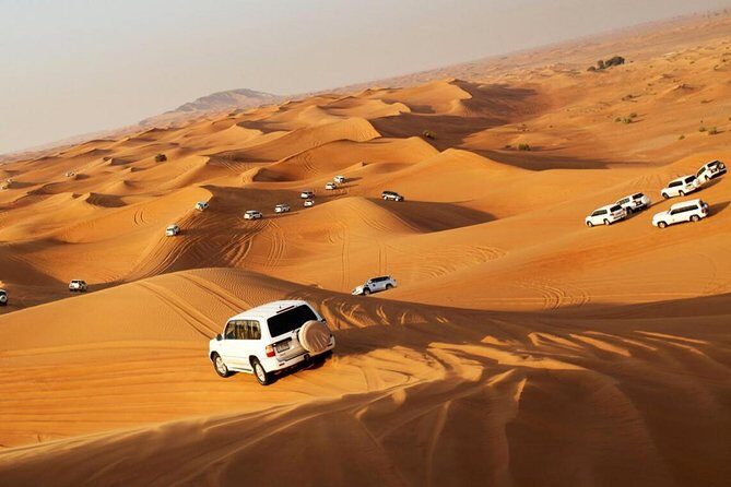 Dubai Morning Safari: Quad Biking, Sandboarding & Camel Ride! - In-Depth Review of the Dubai Morning Safari Experience  