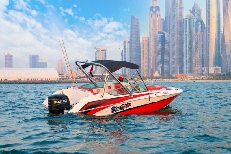 Dubai: New Year's Eve Private or Shared Fireworks Boat Tour - The Experience: An In-Depth Look