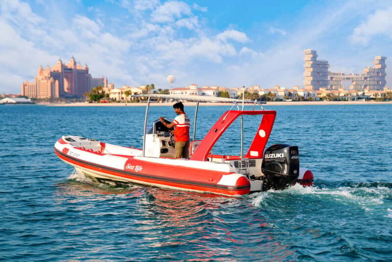 Dubai: New Year's Eve Shared Fireworks Boat Tour - A Closer Look at the Experience