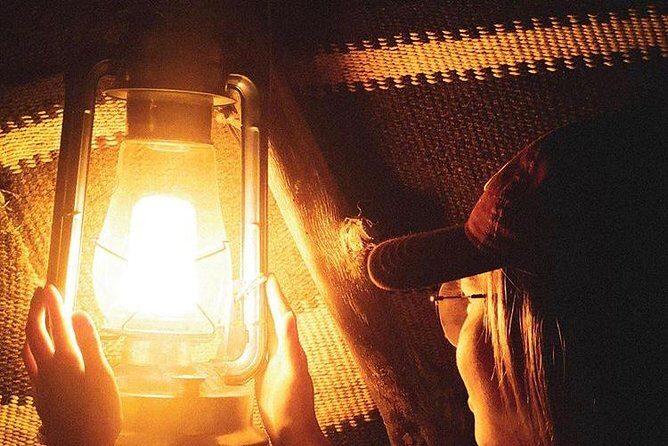 Dubai Night Circuit with Dubai Fountain !! Private Dubai Tour at Night Lights !! - Key Points