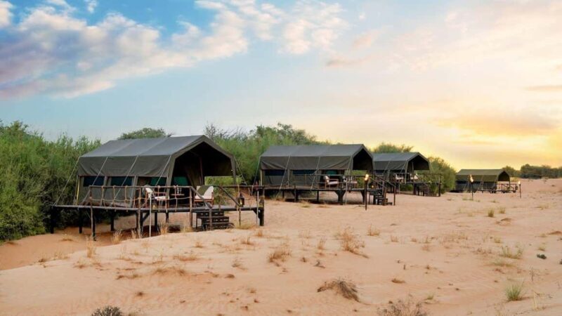 Dubai: Overnight Desert Safari Dune Drive, Private Tent, BBQ - Key Points