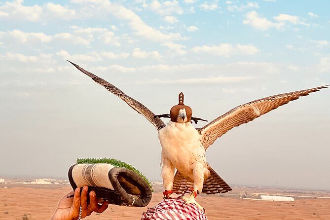 Dubai Premium Desert Safari Red Duns Camel sandbord & Premium BBQ - A Closer Look at the Dubai Premium Desert Safari Experience