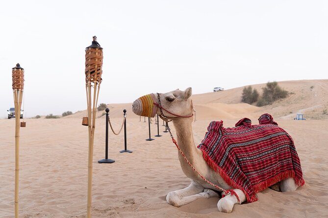 Dubai Premium Desert Safari with Dinner & Shows (Private Car) - Convenient Private Pickup & Early Start