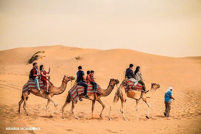 Dubai Premium Desert Safari with Live shows & Gourmet Dinner - Key Points