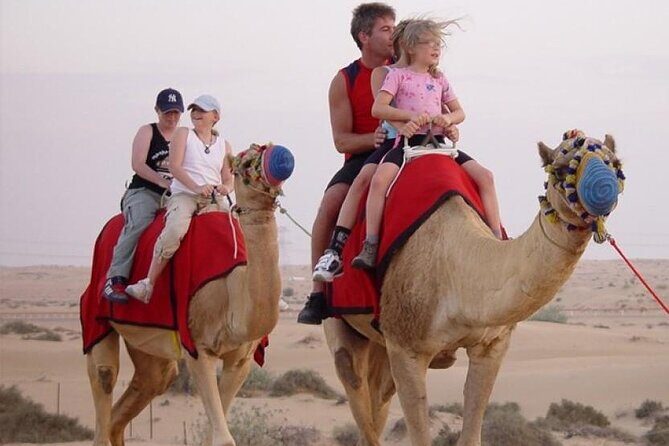 Dubai Premium Evening Desert Safari ATVs, Dinner & Shows - Key Points