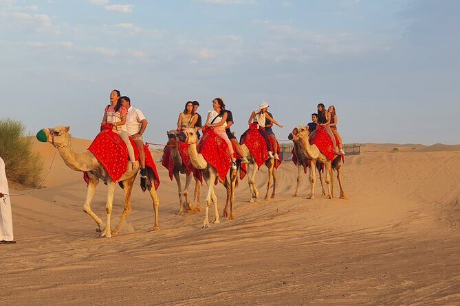 Dubai Premium Red Dunes Safari Camel Ride and BBQ Dinner - Final Thoughts