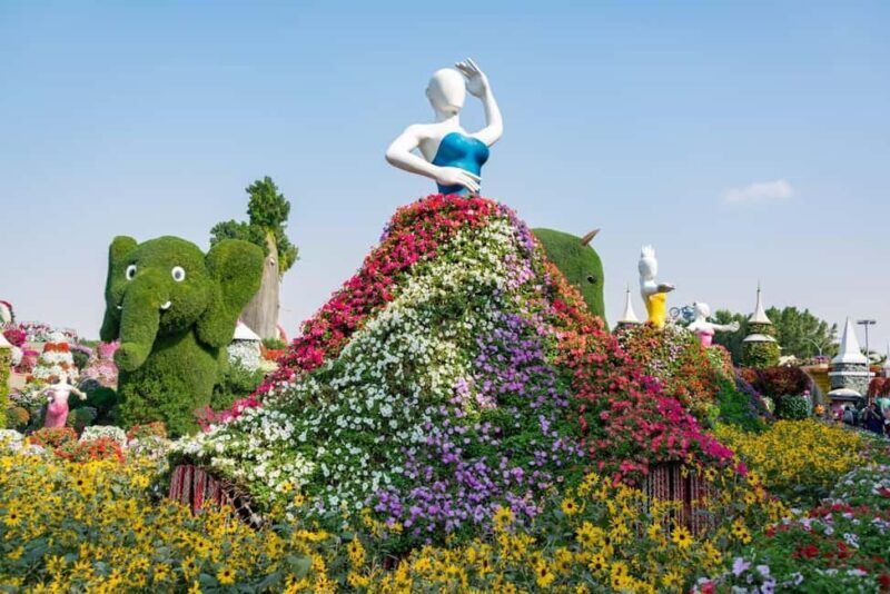 Dubai: Private Dubai Flora and Fauna Trip - Practical Details and Value