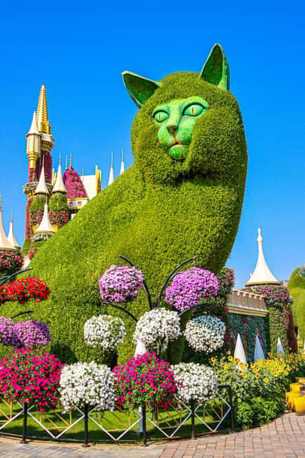 Dubai: Private Dubai Flora and Fauna Trip - Who Should Consider This Tour?