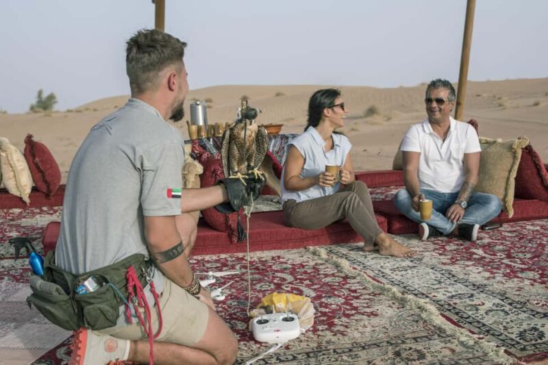Dubai: Private Falconry, Desert Safari and Al Maha breakfast - The Nature Drive in Dubai Desert Conservation Reserve