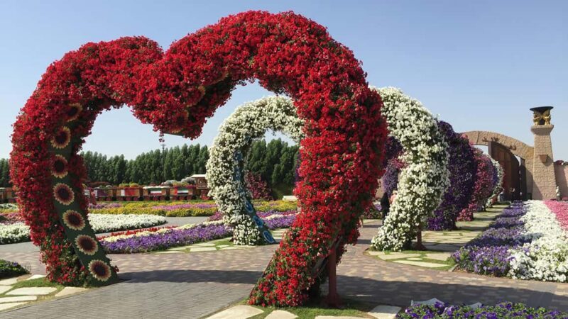 Dubai: Private Miracle Garden & Global Village Trip - Transitioning to Global Village