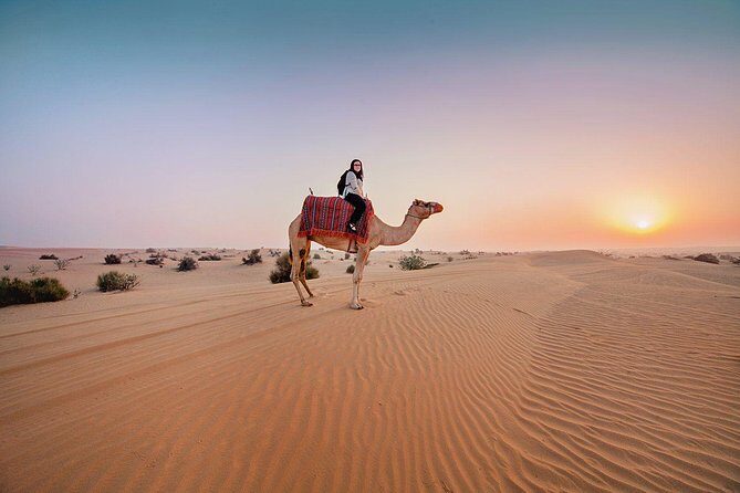 Dubai Private Morning Desert Safari: Camel Ride & Sandboarding - What Makes This Tour Stand Out?