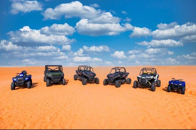Dubai Private Morning Desert Safari - The Sum Up